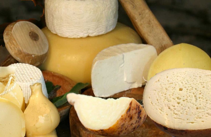 La Puglia terra di grandi formaggi