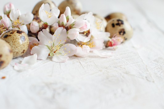 Raccontateci la vostra idea di Pasqua