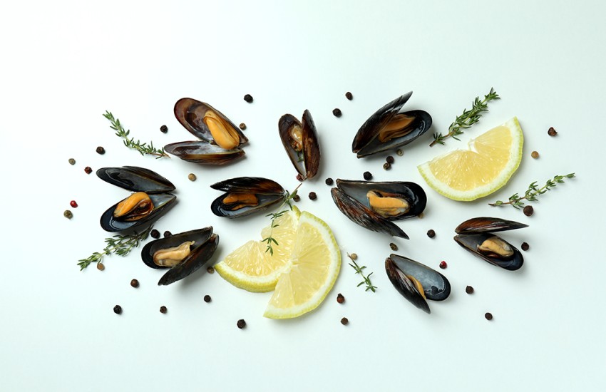Nuovo presidio Slow Food da gustare in Puglia