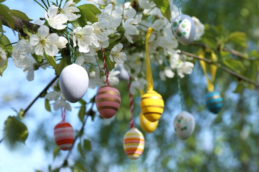 Pasqua al Monun Hotel